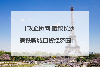 政企协同 赋能长沙高铁新城自贸经济圈