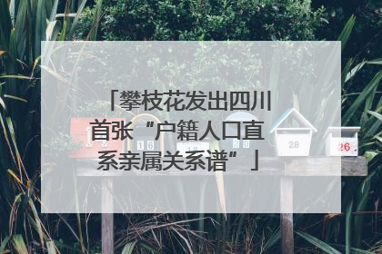 攀枝花发出四川首张“户籍人口直系亲属关系谱”