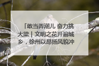 敢当弄潮儿 奋力挑大梁｜文明之花开遍城乡，徐州以昂扬风貌冲刺“万亿之城”