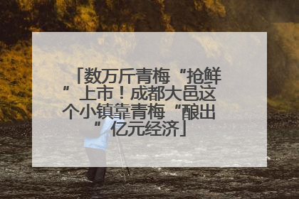 数万斤青梅“抢鲜”上市！成都大邑这个小镇靠青梅“酿出”亿元经济