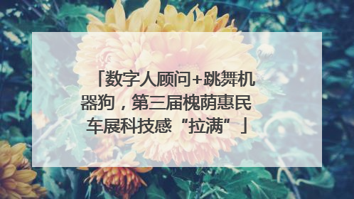 数字人顾问+跳舞机器狗，第三届槐荫惠民车展科技感“拉满”
