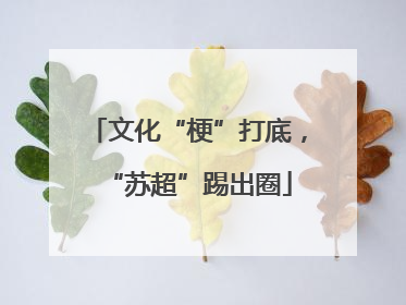 文化“梗”打底，“苏超”踢出圈
