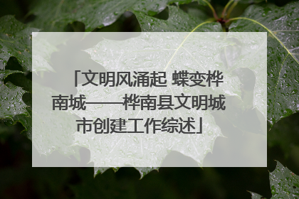 文明风涌起 蝶变桦南城——桦南县文明城市创建工作综述