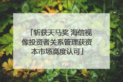 斩获天马奖 海信视像投资者关系管理获资本市场高度认可
