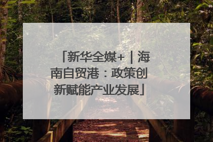 新华全媒+｜海南自贸港：政策创新赋能产业发展