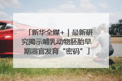 新华全媒+｜最新研究揭示哺乳动物胚胎早期器官发育“密码”