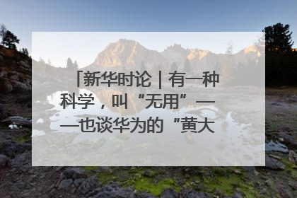新华时论｜有一种科学，叫“无用”——也谈华为的“黄大年茶思屋”