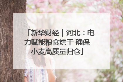 新华财经｜河北：电力赋能粮食烘干 确保小麦高质量归仓