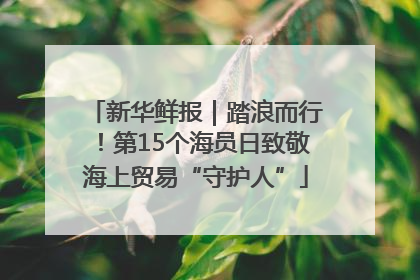 新华鲜报｜踏浪而行！第15个海员日致敬海上贸易“守护人”