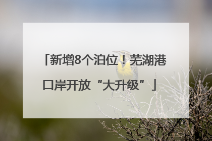新增8个泊位！芜湖港口岸开放“大升级”