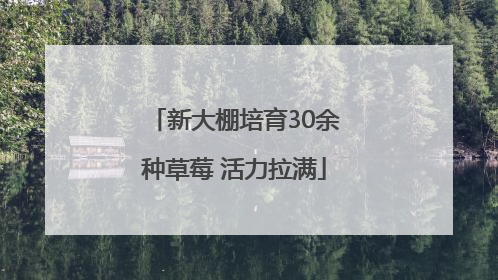 新大棚培育30余种草莓 活力拉满