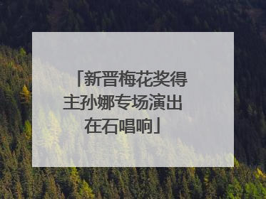 新晋梅花奖得主孙娜专场演出在石唱响