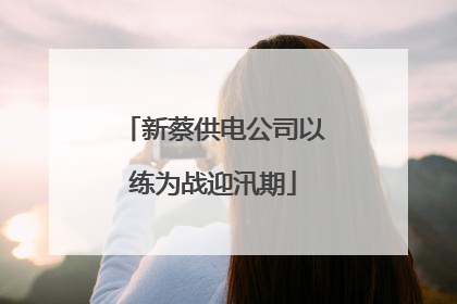 新蔡供电公司以练为战迎汛期