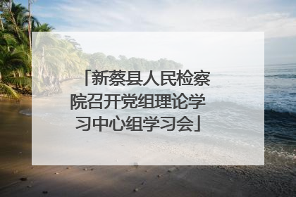 新蔡县人民检察院召开党组理论学习中心组学习会