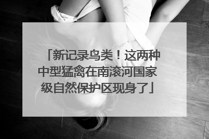 新记录鸟类！这两种中型猛禽在南滚河国家级自然保护区现身了