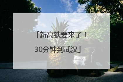 新高铁要来了！30分钟到武汉