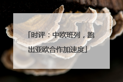 时评：中欧班列，跑出亚欧合作加速度