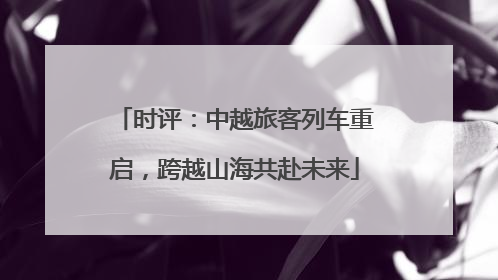 时评：中越旅客列车重启，跨越山海共赴未来