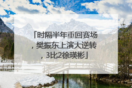 时隔半年重回赛场，樊振东上演大逆转，3比2徐瑛彬