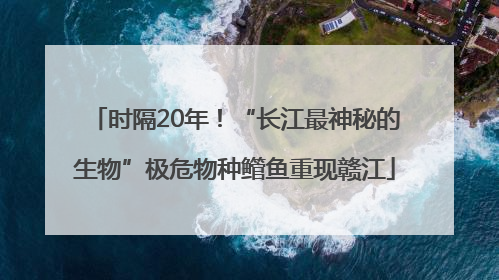 时隔20年！“长江最神秘的生物”极危物种鳤鱼重现赣江
