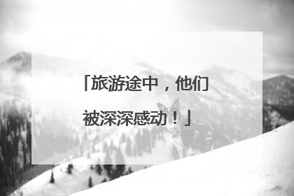 旅游途中，他们被深深感动！
