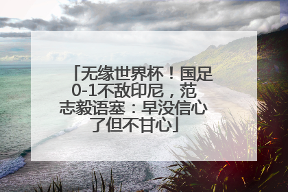 无缘世界杯！国足0-1不敌印尼，范志毅语塞：早没信心了但不甘心