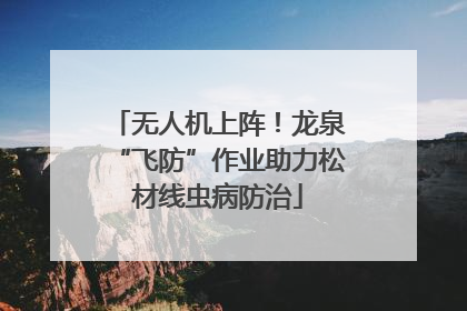 无人机上阵！龙泉“飞防”作业助力松材线虫病防治