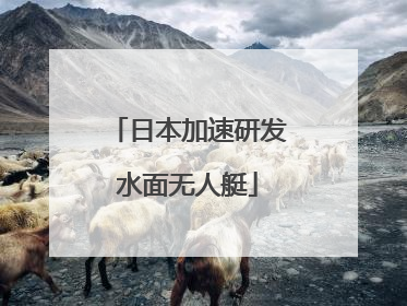 日本加速研发水面无人艇