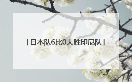 日本队6比0大胜印尼队