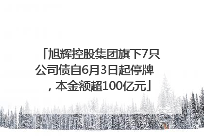旭辉控股集团旗下7只公司债自6月3日起停牌，本金额超100亿元