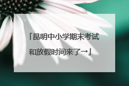 昆明中小学期末考试和放假时间来了→