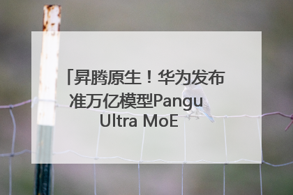昇腾原生！华为发布准万亿模型Pangu Ultra MoE模型架构和训练细节