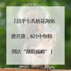 昌平七孔桥花海免费开放，6月中旬将到达“颜值巅峰”