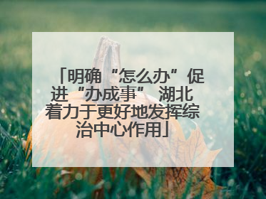 明确“怎么办”促进“办成事” 湖北着力于更好地发挥综治中心作用