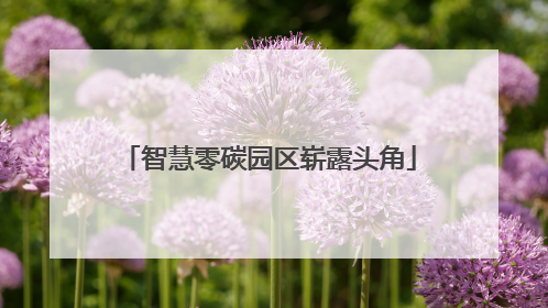 智慧零碳园区崭露头角