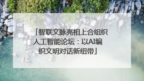 智联文脉亮相上合组织人工智能论坛：以AI编织文明对话新纽带