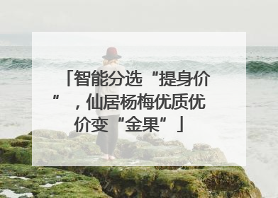 智能分选“提身价”，仙居杨梅优质优价变“金果”
