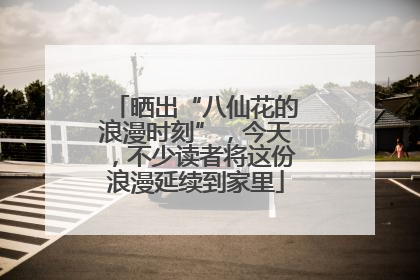 晒出“八仙花的浪漫时刻”，今天，不少读者将这份浪漫延续到家里
