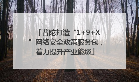 普陀打造“1+9+X”网络安全政策服务包，着力提升产业能级