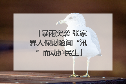 暴雨突袭 张家界人保财险闻“汛”而动护民生