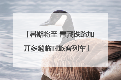 暑期将至 青藏铁路加开多趟临时旅客列车