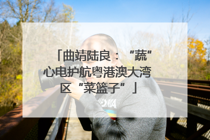 曲靖陆良：“蔬”心电护航粤港澳大湾区“菜篮子”