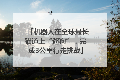 机器人在全球最长猫道上“遛狗”，完成3公里行走挑战
