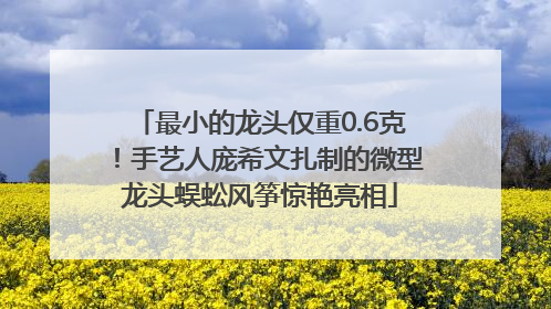 最小的龙头仅重0.6克！手艺人庞希文扎制的微型龙头蜈蚣风筝惊艳亮相