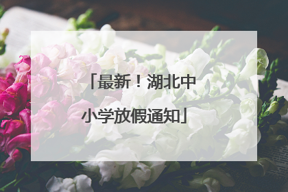 最新！湖北中小学放假通知