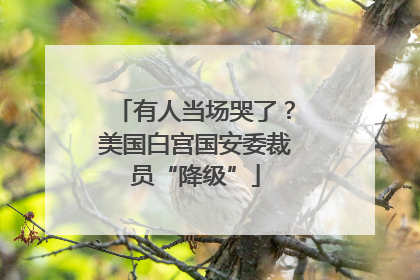 有人当场哭了？美国白宫国安委裁员“降级”
