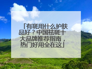 有斑用什么护肤品好？中国祛斑十大品牌推荐指南，热门好用全在这