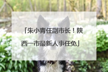 朱小青任副市长！陕西一市最新人事任免