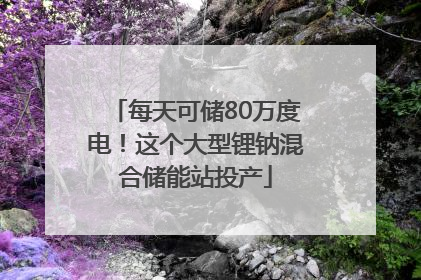 每天可储80万度电！这个大型锂钠混合储能站投产