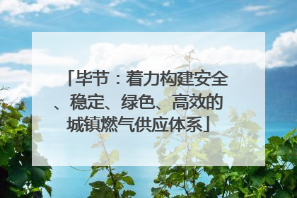 毕节：着力构建安全、稳定、绿色、高效的城镇燃气供应体系